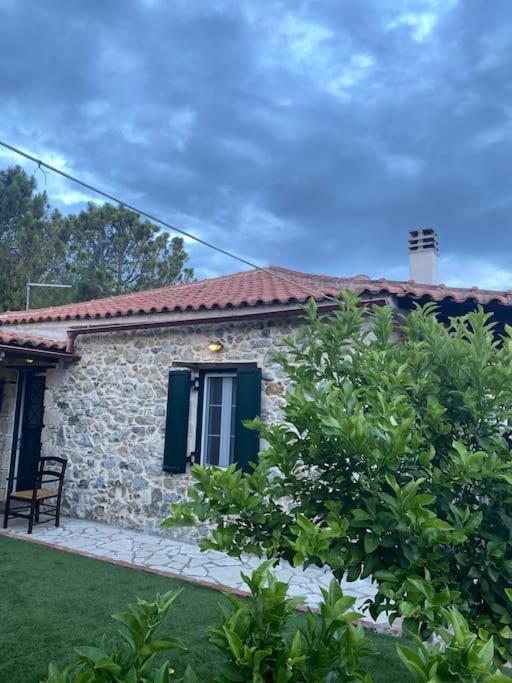 Aelia House Khronia